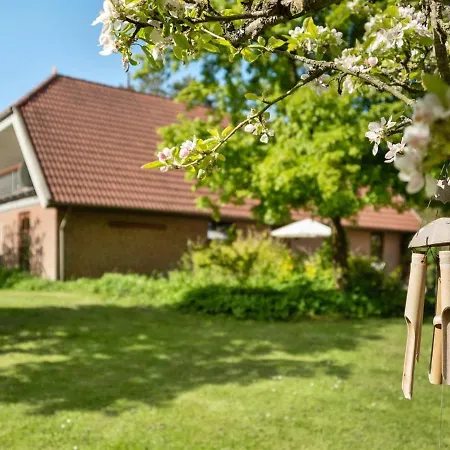 Iiro - 2-5km From The Sea In Western Jutland By Interhome Holiday home Romo Kirkeby
