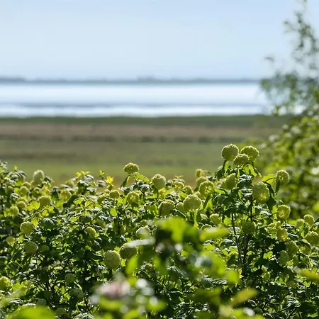 Feriehus Iiro - 2-5km From The Sea By Interhome