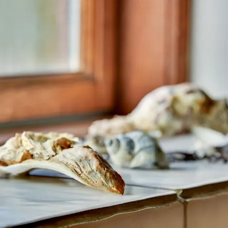 Feriehus Iiro - 2-5km From The Sea By Interhome Rømø Kirkeby