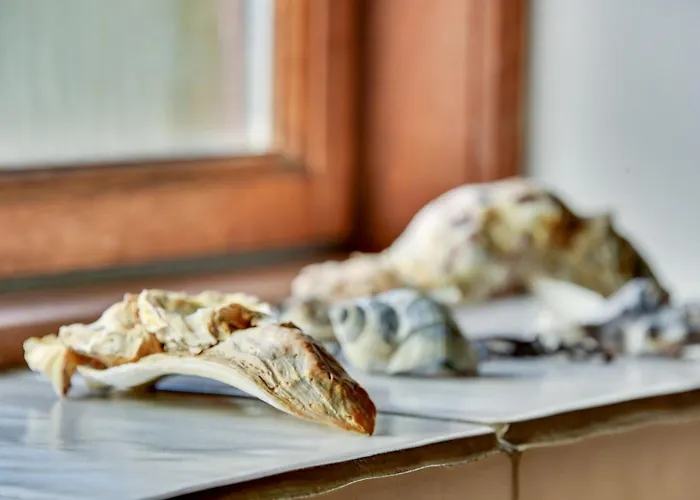 Σπίτι διακοπών Iiro - 2-5km From The Sea By Interhome Rømø Kirkeby